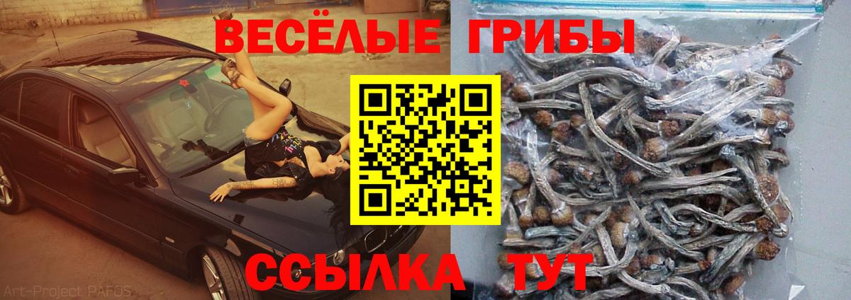 Выборг  Галлюциногенные грибы MAGIC MUSHROOMS  Вход с VPN 